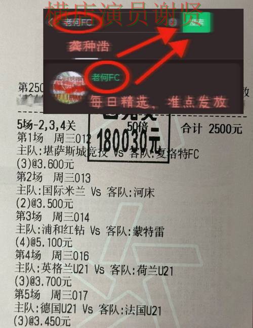乐鱼世界杯赔率变化趋势与投注策略解析 乐鱼世界杯赔率变化趋势与投注策略解析