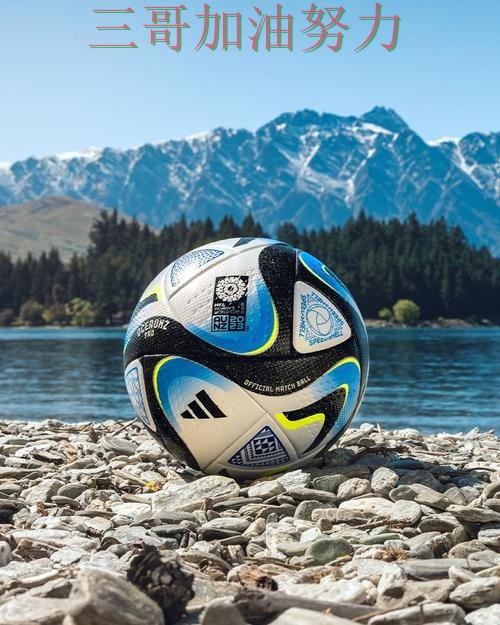 FIFA World Cup 2026背景下的世界杯投注平台合集揭秘与玩法指南直播解析